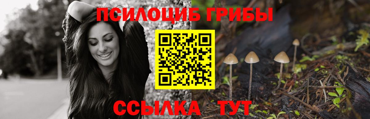 Псилоцибиновые грибы GOLDEN TEACHER Видное